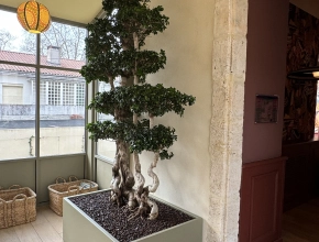 Jardinière sur mesure Banzai