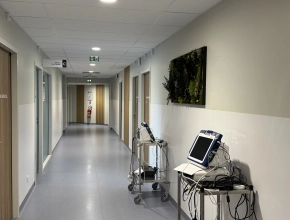Tableau végétal stabilisé pour un hall d'accueil médical