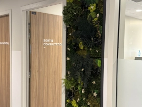 Tableau végétal stabilisé pour un hall d'accueil médical