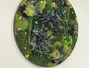 Tableau végétal stabilisé