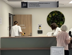 Tableau végétal stabilisé pour un hall d'accueil médical