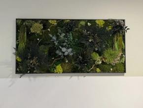 Tableau végétal stabilisé pour un hall d'accueil médical