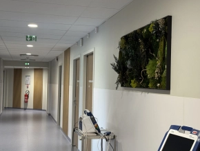 Tableau végétal stabilisé pour un hall d'accueil médical