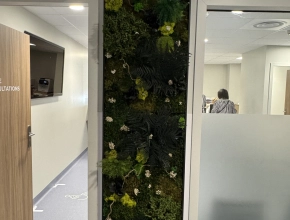 Tableau végétal stabilisé pour un hall d'accueil médical