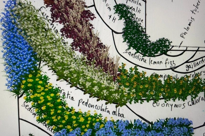Tout commence par un croquis : l’étincelle créative chez Végétales Visions