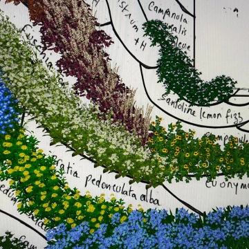 Tout commence par un croquis : l’étincelle créative chez Végétales Visions