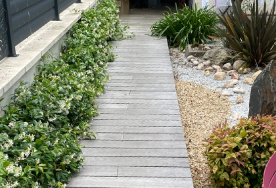 Entretien de jardinières et plantes intérieur et extérieur