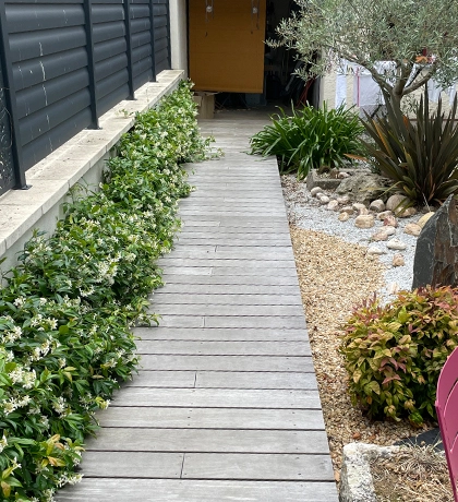 Plantes intérieures et extérieures