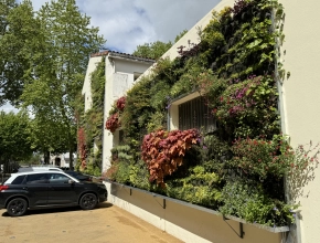 Mur végétal vivant sur une façade de résidence