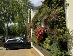 Mur végétal vivant sur une façade de résidence