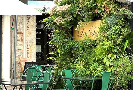 Création et installation de mur végétal extérieur