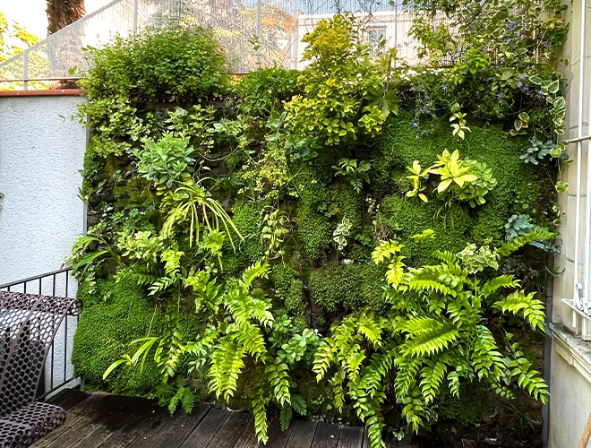 Aménagement végétal de terrasse
