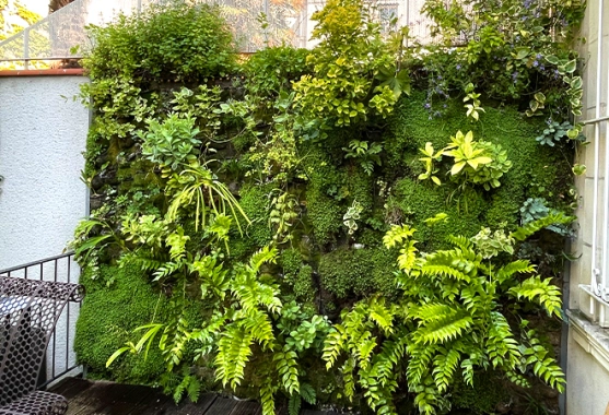 Végétaliser votre terrasse
