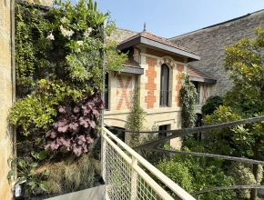Création et installation de murs végétales vivants