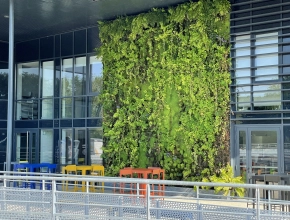 Création et installation de murs végétales vivants