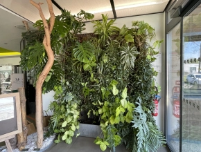 Création et installation de murs végétales vivants