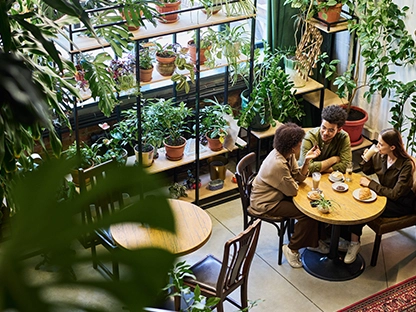 Plantes intérieures et extérieures