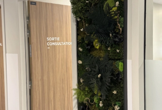 Création sur mesure de tableau végétal
