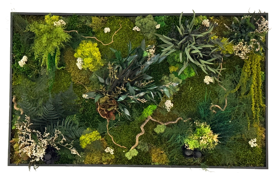 Tableau végétal stabilisé à Bergerac | Dordone Sud