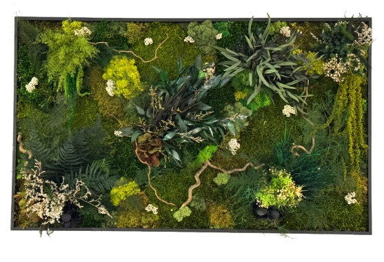 Tableaux végétales stabilisés Auch | Gers